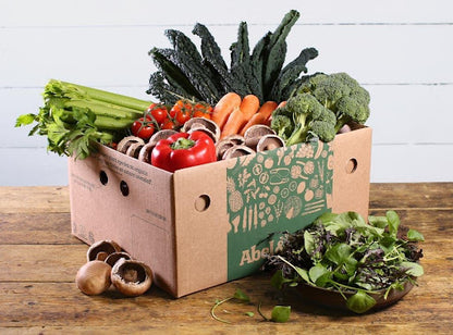 Large Vegetable Box